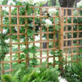 Garden Fence Projects