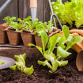 Gardening Tools: Everything You Need To Know