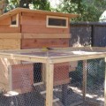 Chicken Coop Design Ideas