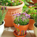 Container Gardening Projects for Every Homeowner