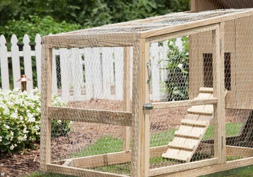 Everything You Need to Know About Chicken Coop Projects
