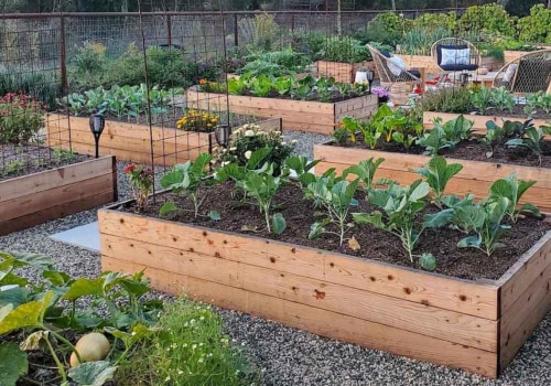Raised Bed Garden Projects