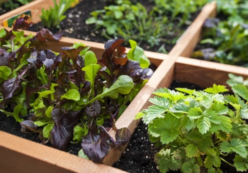 Square Foot Gardening: A Comprehensive Overview