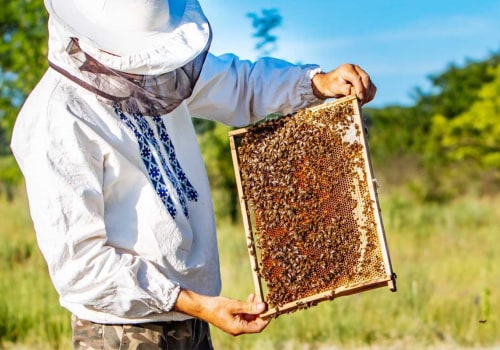 Beekeeping: A Comprehensive Overview